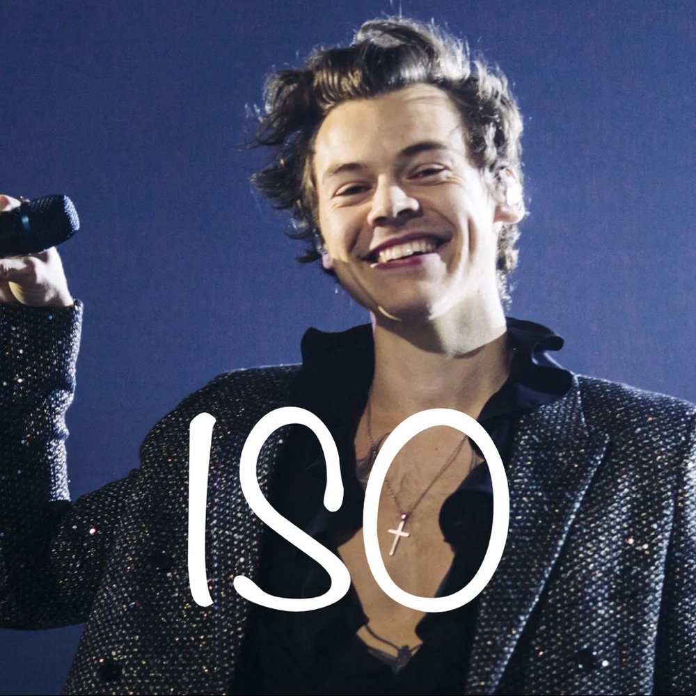 ISO Harry Styles merch (NOT FOR SALE)